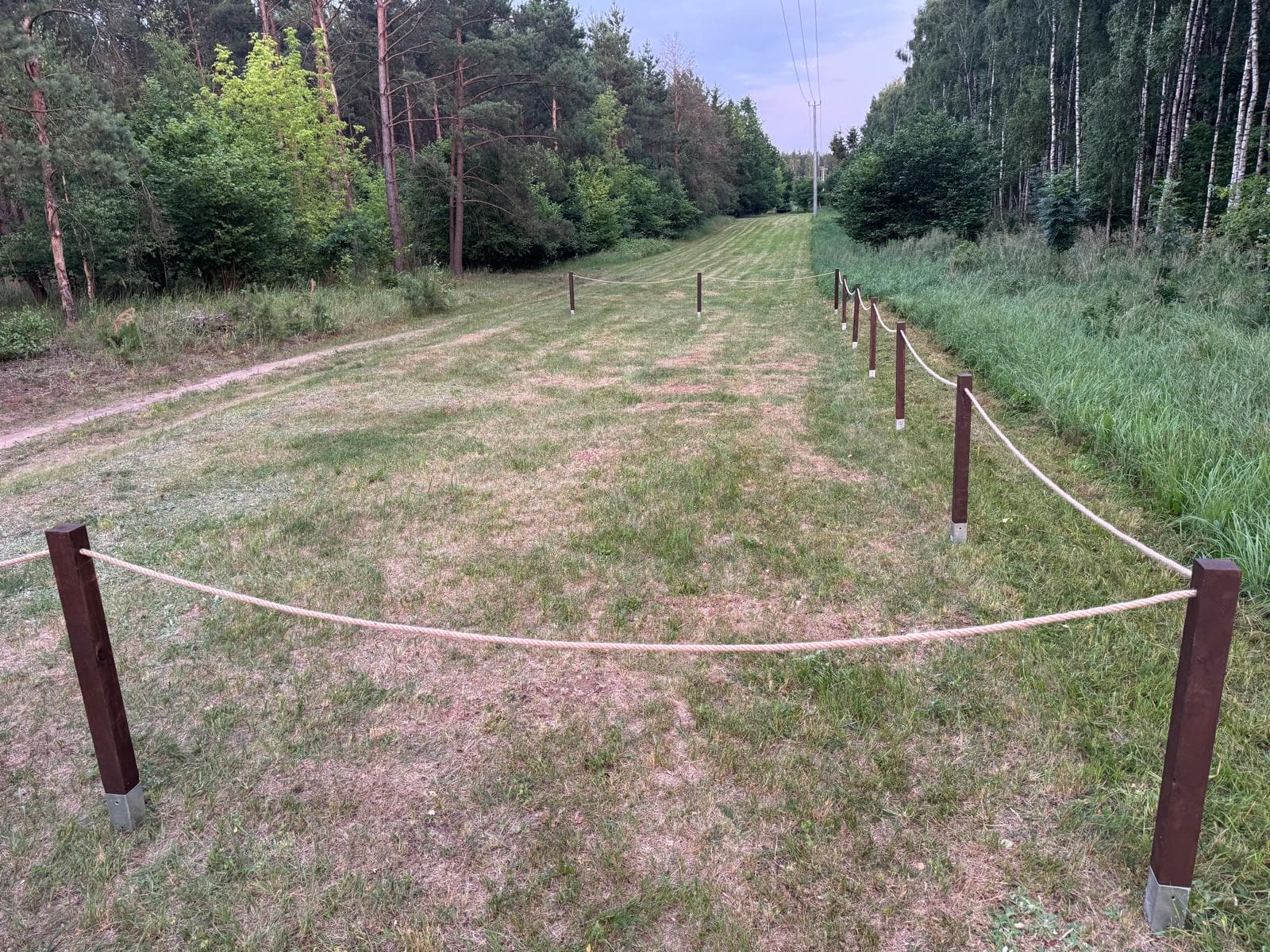 Trawiasta aleja ogrodzona liną, prowadząca w głąb lasu